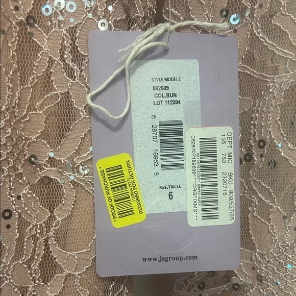 Elegant Lace Sequin Dress in Blush Pink ๐ - Picture 5 of 14